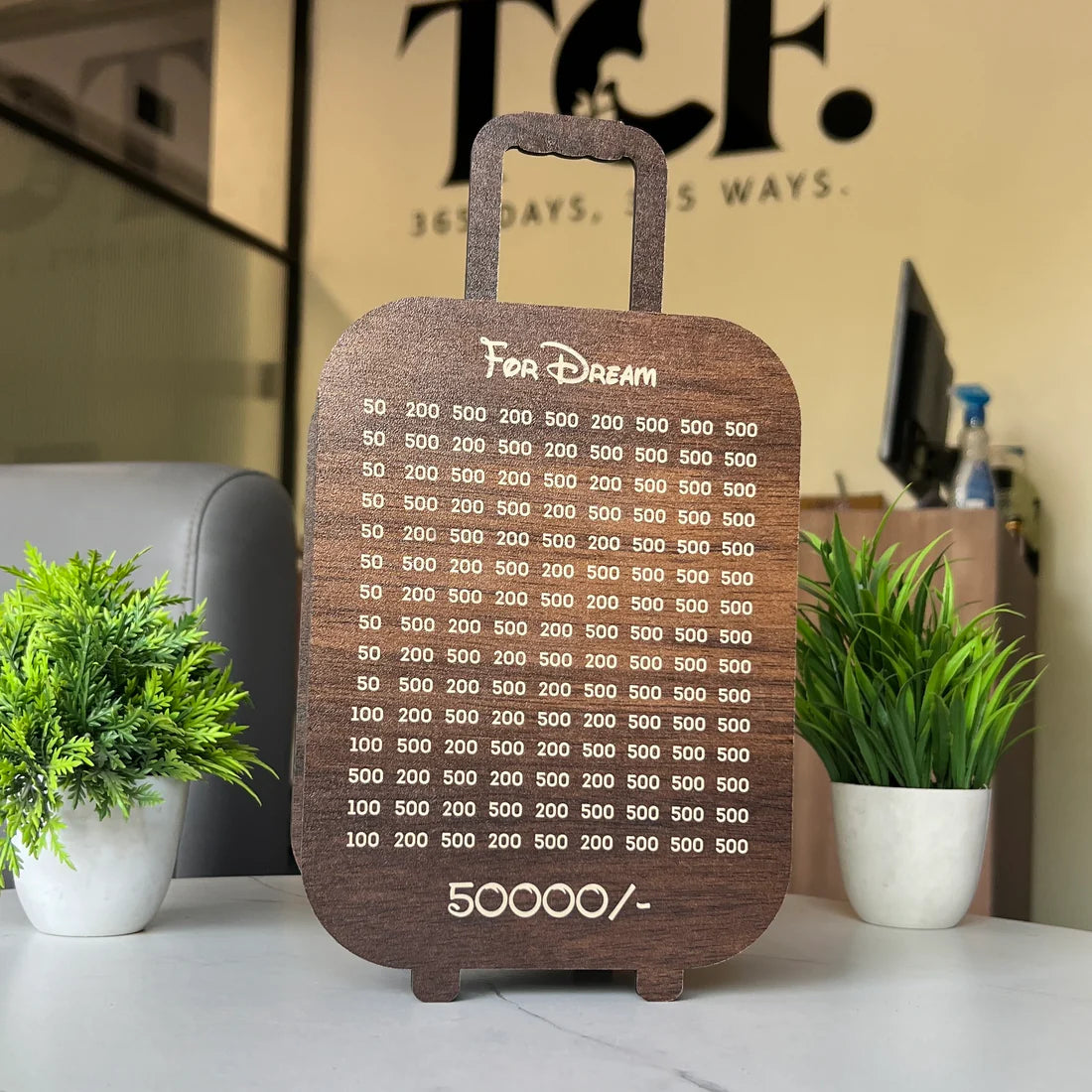 Premium Travel Money Saving Bag