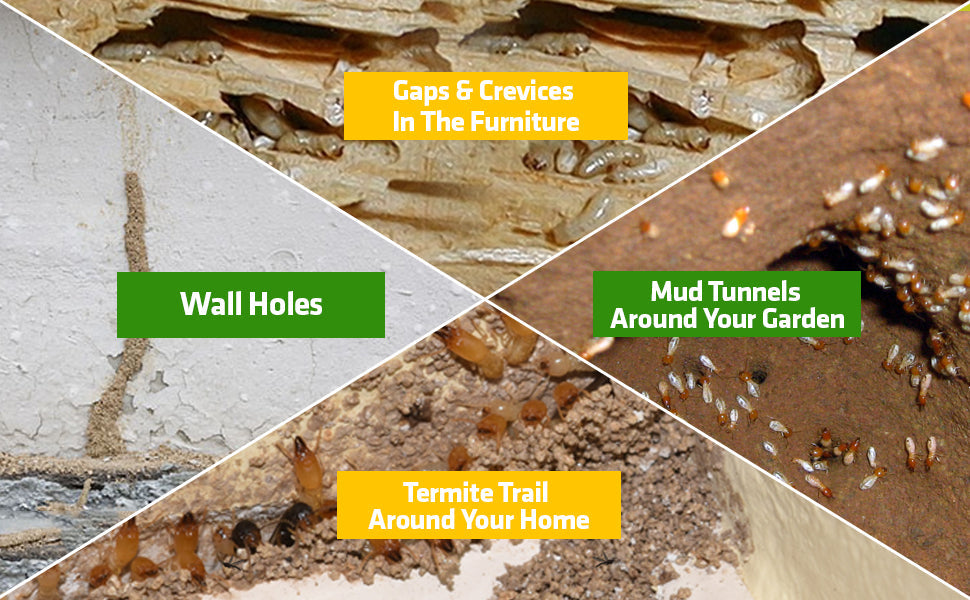 Termite Killer Spray - 🔥 BUY 1 GET 2 FREE 🔥